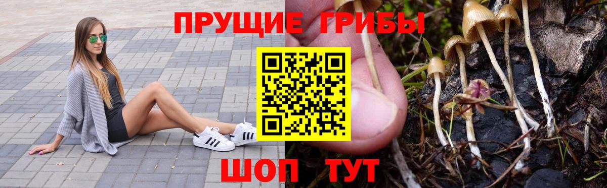 Топки  Псилоцибиновые грибы GOLDEN TEACHER  Вход с VPN 